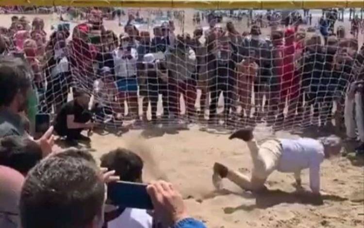 ATAJATE ESTA ALBERT.